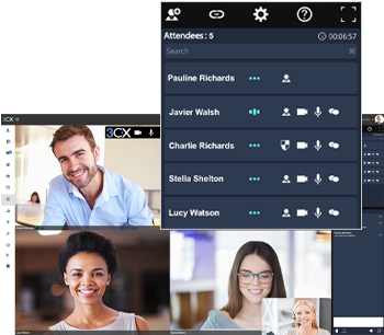 Video Conferencing At No Extra Cost